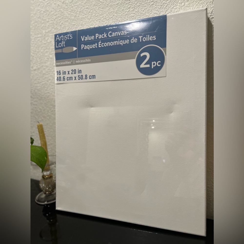 NEW Value Pack Canvas 16 in x 20 in